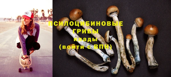 каннабис Аркадак